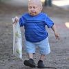 thom84
